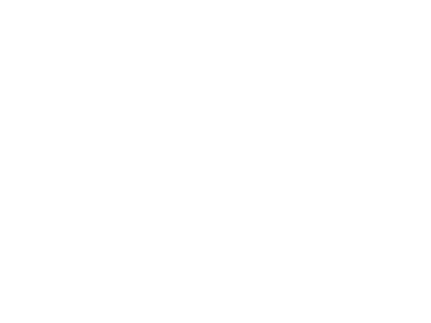 TFN Enterprises LLC